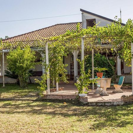 Villa Oidor - Cilento Ашеа Экстерьер фото