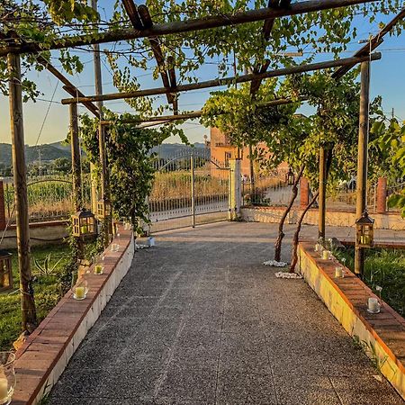 Villa Oidor - Cilento Ашеа Экстерьер фото